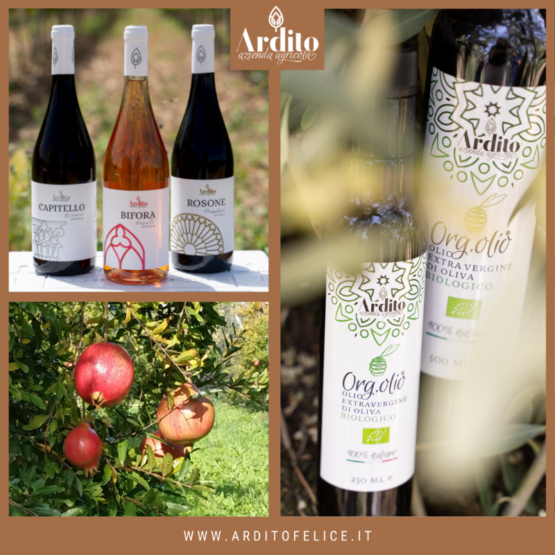 img_loaded_from_user_1639481440330_Ardito Felice azienda agricola.png